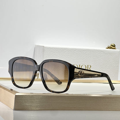 D**R Oversized Square Sunglasses | Glossy Black Frame, Dark Grey Lenses & Gold CD Logo Inlay Temple | 6 Colorways